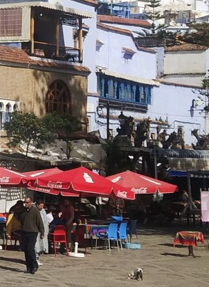 Viendo la vida pasar