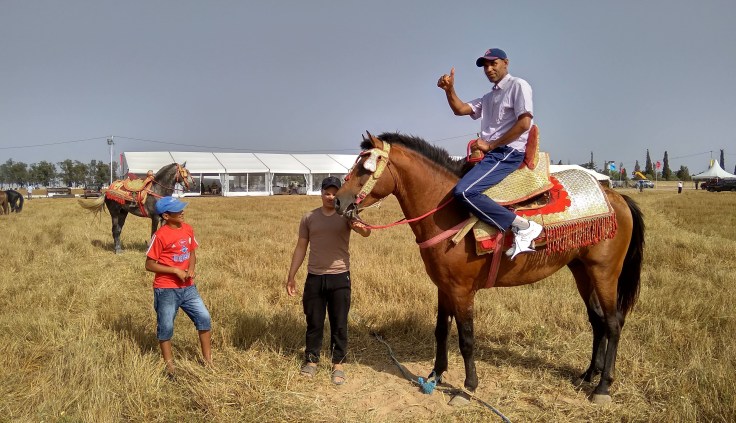 IMG_20180727_172300_HDR-compressor