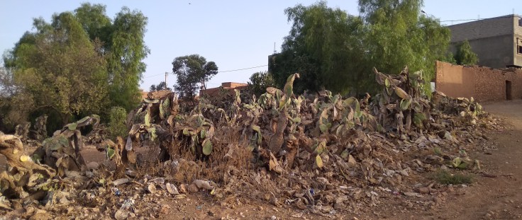 IMG_20190828_080347-compressor