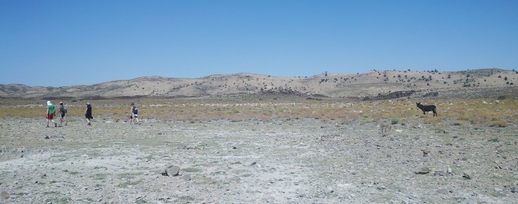 IMG_00003045-compressor