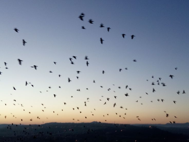 IMG_20161211_070027-compressor