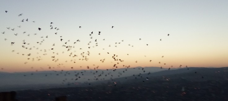 IMG_20161211_070030-compressor